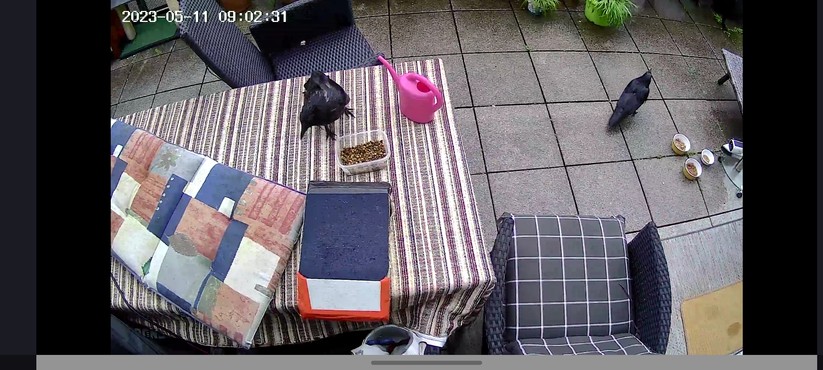 7Links IPC-740 (ZX-5346-675): Elesion-App