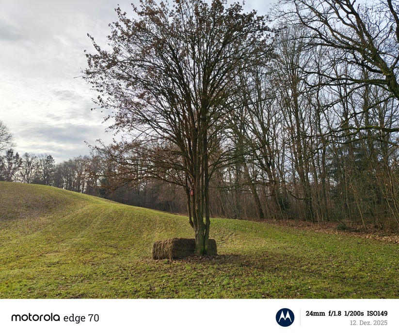 Motorola Edge 70 - Originalaufnahmen