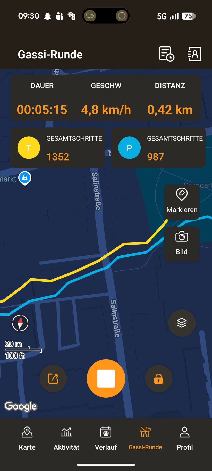 Pawfit 3 – Bilderstrecke