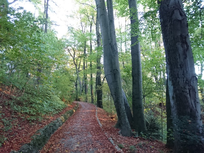 Sony Xperia Z3 compact – Testfoto
