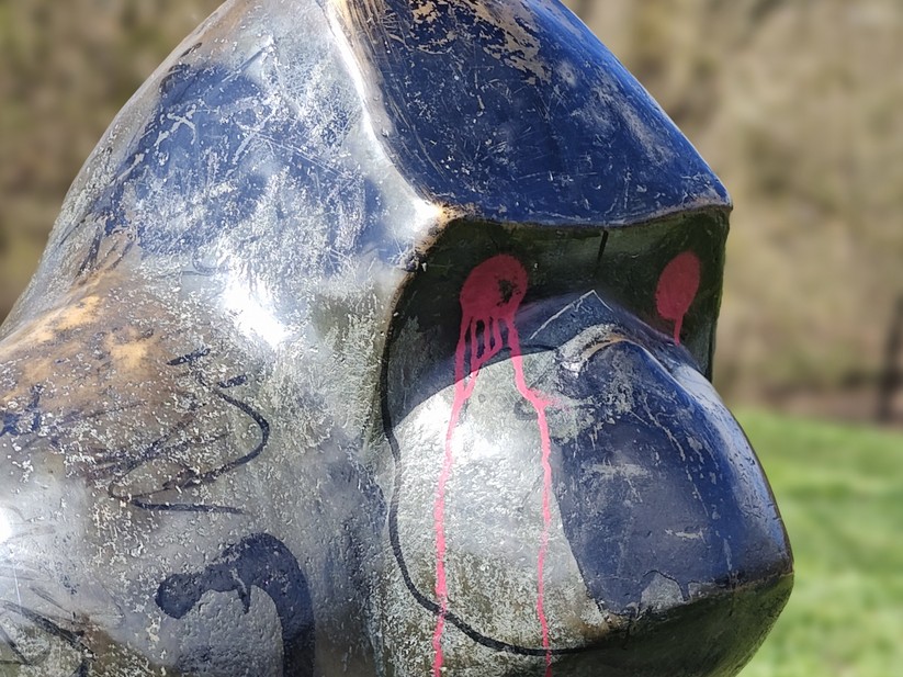 Motorola Edge 40 Pro - Originalaufnahmen