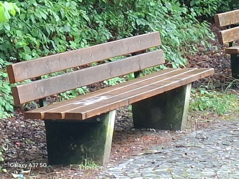  Hauptkamera mit 4x Zoom (digital)