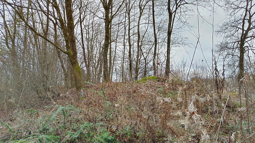 Nokia X30 5G - Originalaufnahmen 