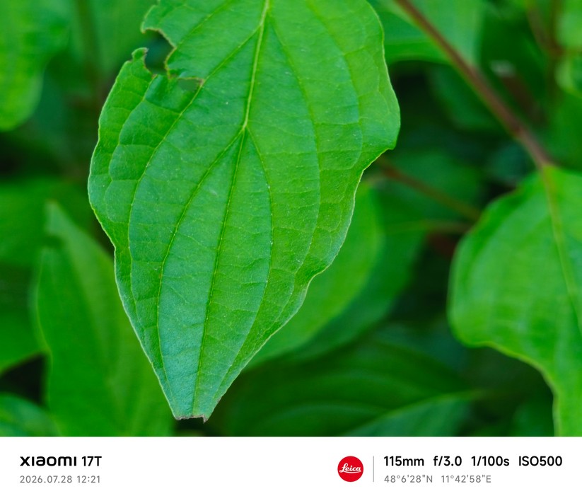 Xiaomi 17T: Makromodus mit Telelinse (5x Zoom)