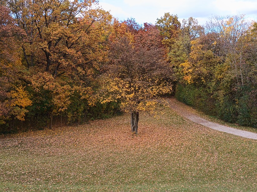 Oscal Tank 1 - Originalaufnahmen 