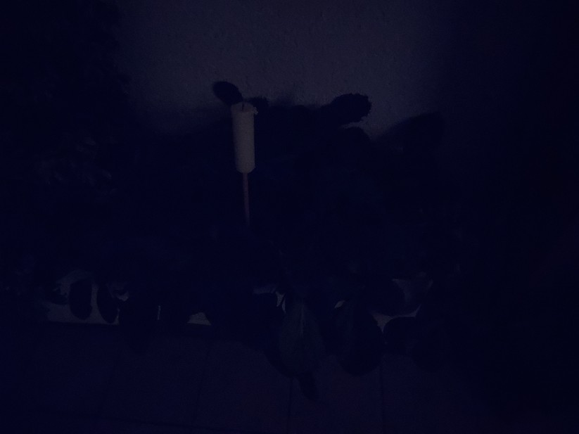 Samsung Galaxy Xcover 7 Pro