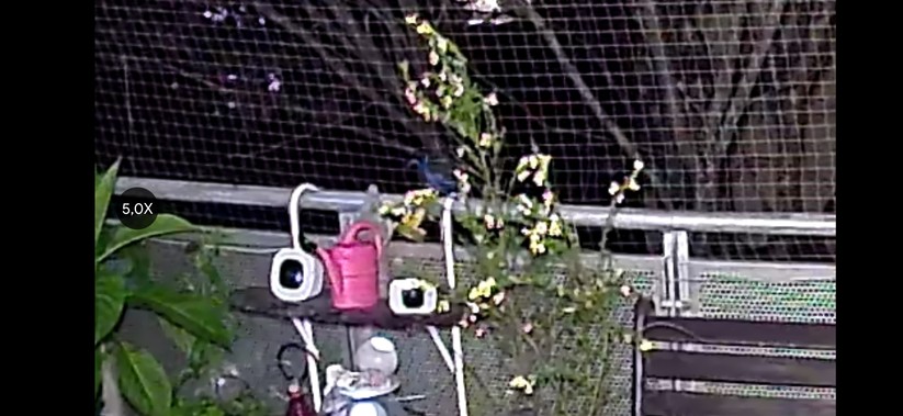 Ezviz LC3: App-Screenshots