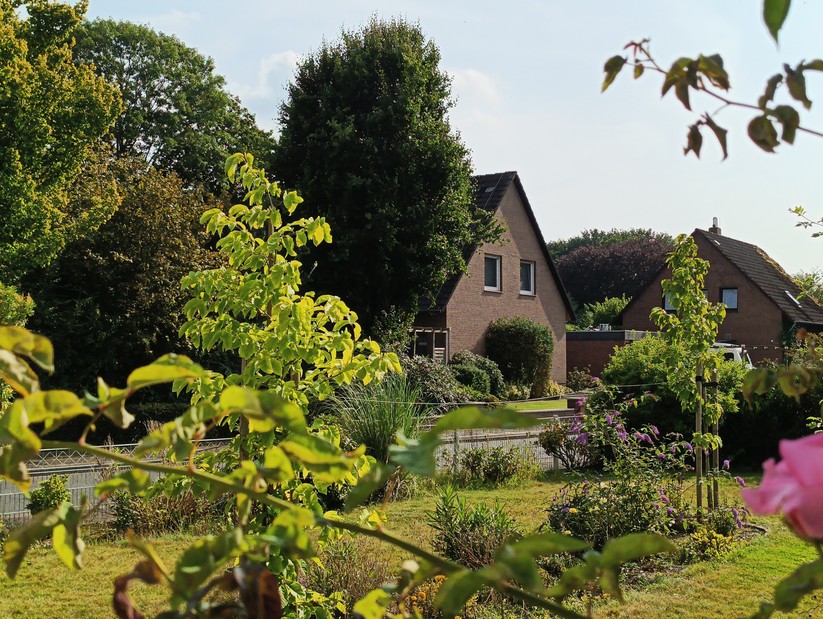 Blackview BV8200 - Originalaufnahmen