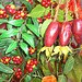 Testfoto geschossen mit einem Sony Ericsson Xperia arc | BestBoyZ
