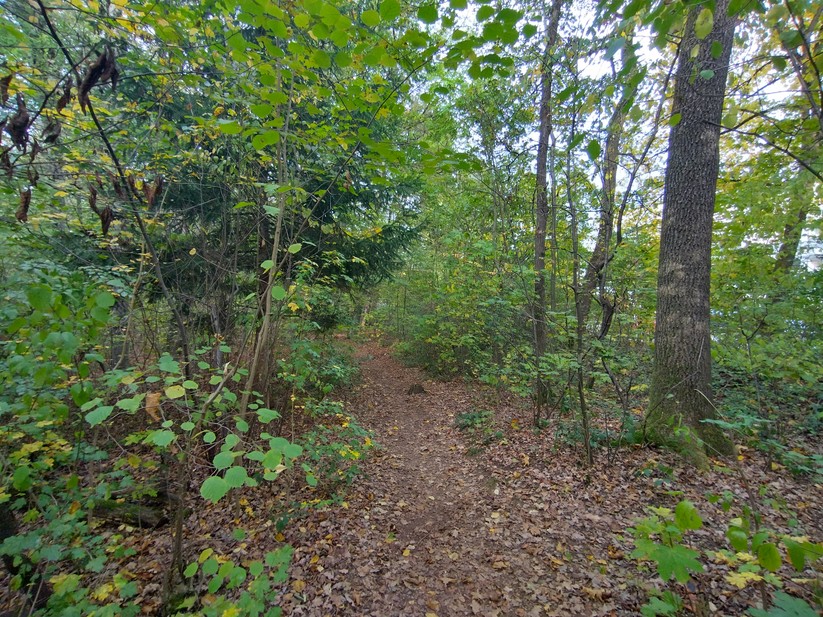 Nokia XR21 - Originalaufnahmen 