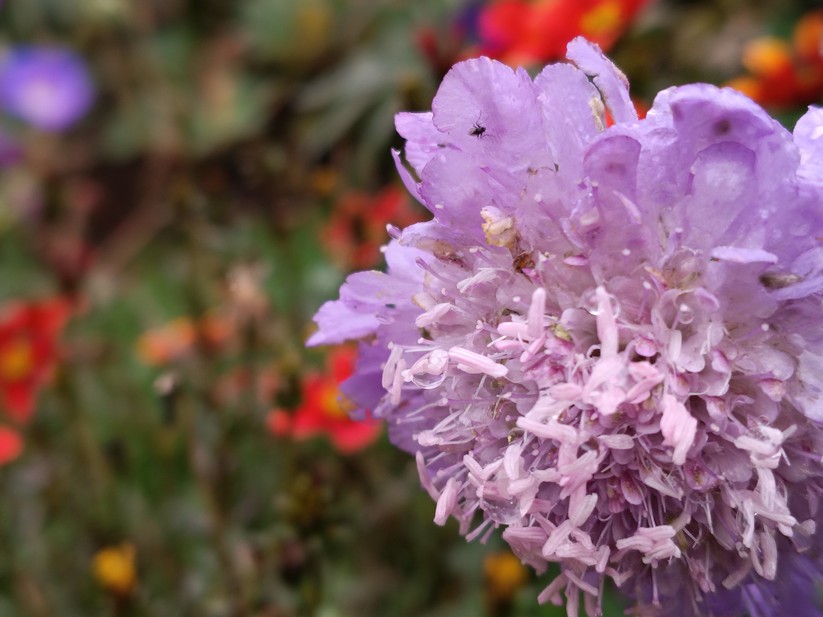 Motorola Moto G56 5G – Originalaufnahmen