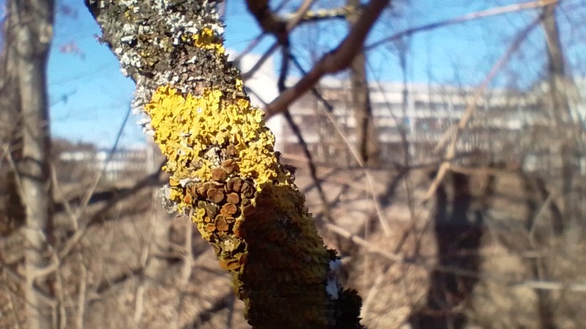 Nokia G21: Originalaufnahmen