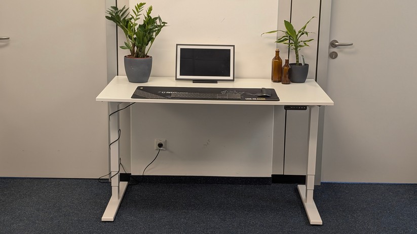 Assmann Y-Line