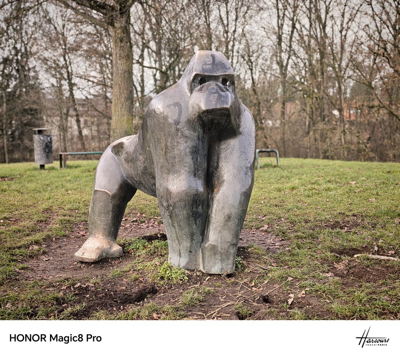 Honor Magic 8 Pro - Originalaufnahmen 