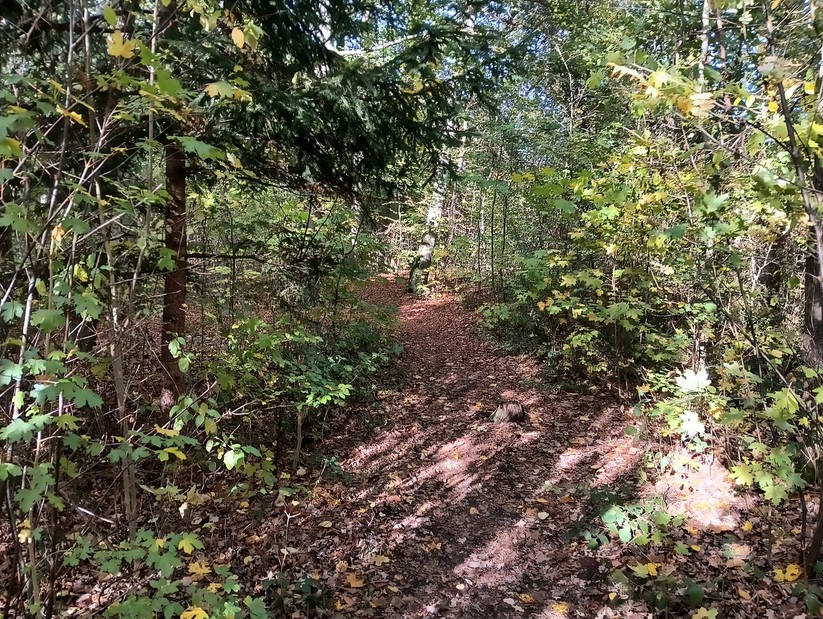 Cat S75 - Originalaufnahmen