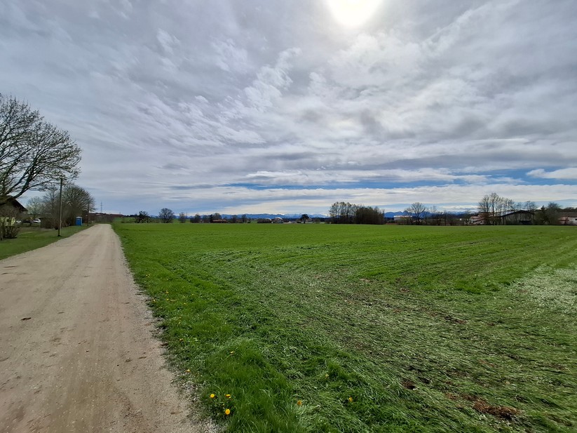 Samsung Galaxy A55 – Originalaufnahmen