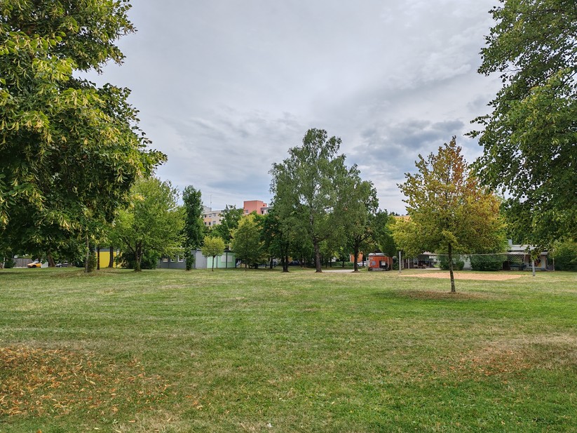 Honor 90 - Originalaufnahmen 