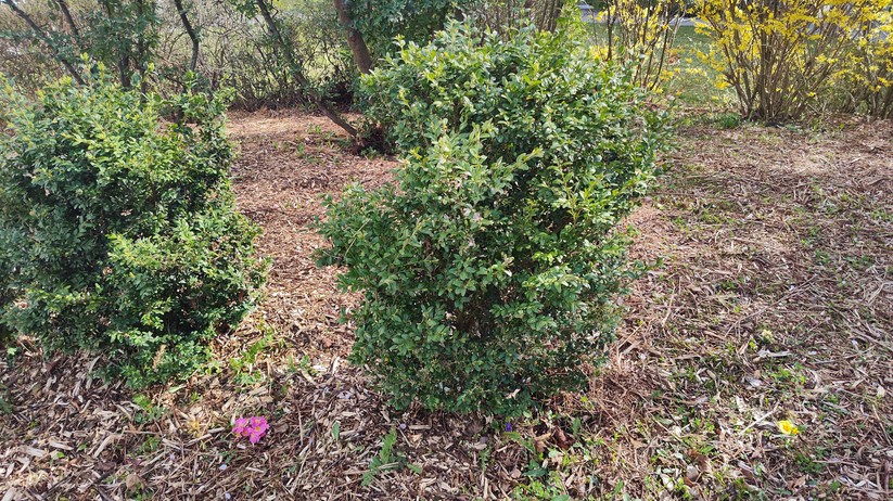 Motorola Edge 30 Pro - Originalaufnahmen