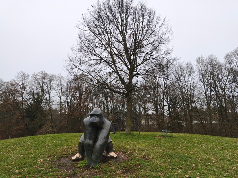 Xiaomi 15T - Originalaufnahmen