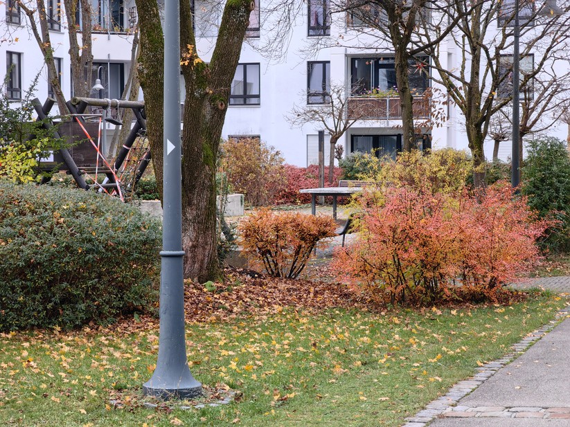 Huawei Mate 50 Pro - Originalaufnahmen