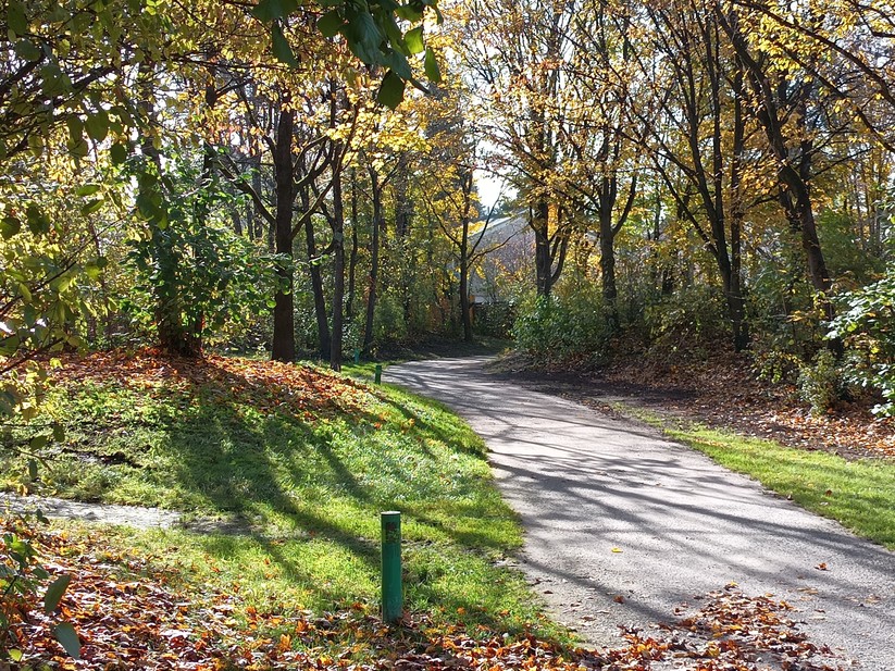 Oukitel WP60 - Originalaufnahmen