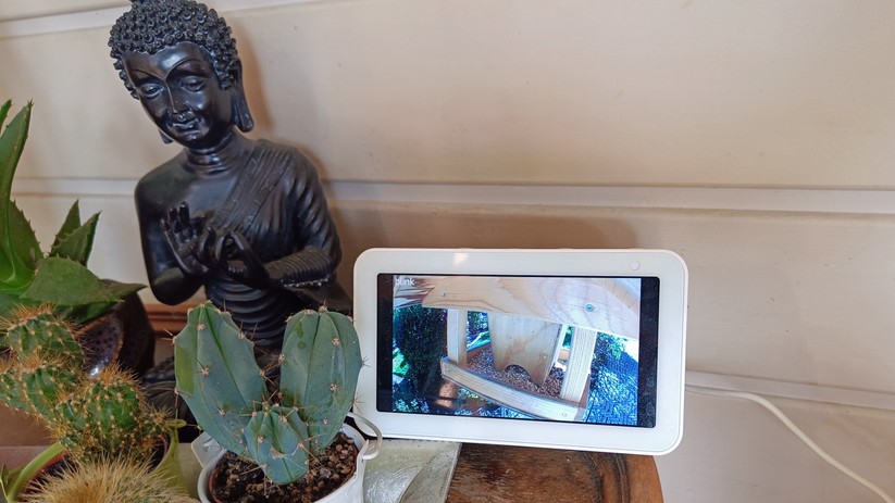 Geeignete WLAN-Kameras übertragen das Livebild bequem auf etwa Echo Show.