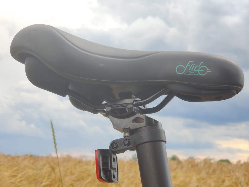 Fiido D4S in Bildern