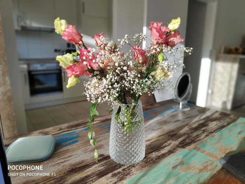 Aufnahmen bei Tageslicht