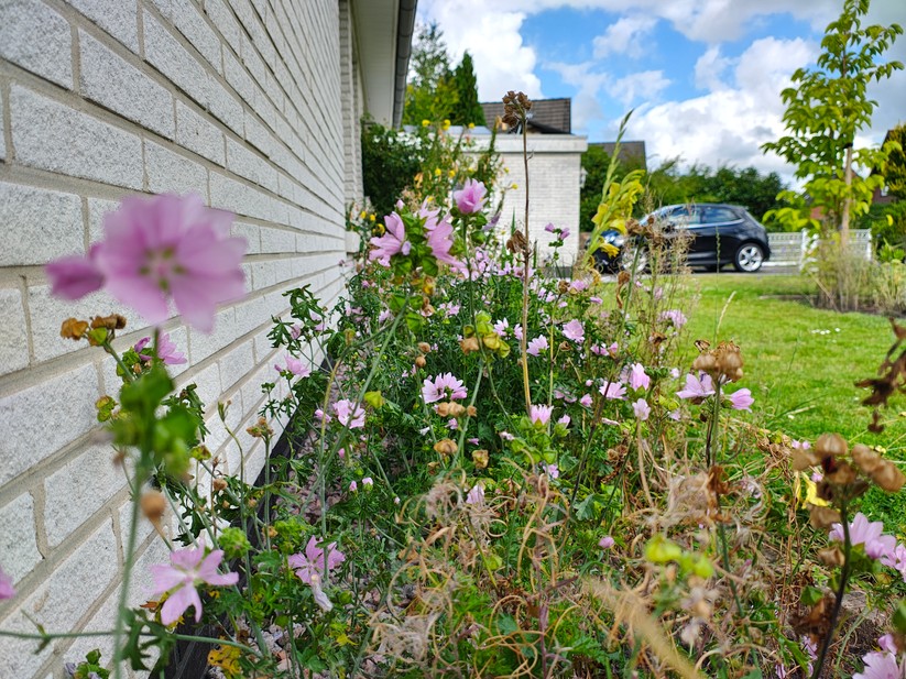 Motorola Edge 50 Pro