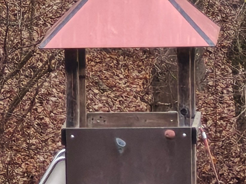 Xiaomi 15T - Originalaufnahmen