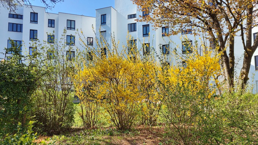 Realme GT 2 Pro - Originalaufnahmen 