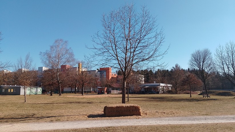 Nokia G21: Originalaufnahmen