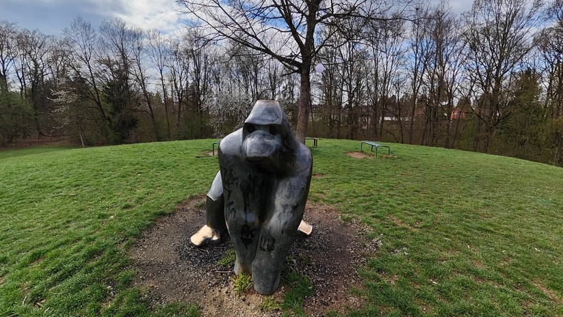 Realme GT 2 Pro - Originalaufnahmen 