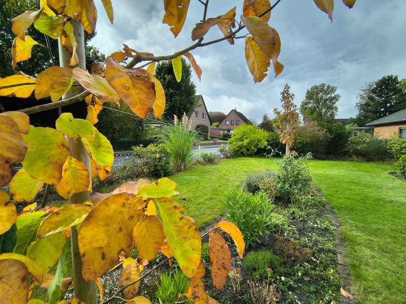 Motorola Razr 60 - Originalaufnahmen