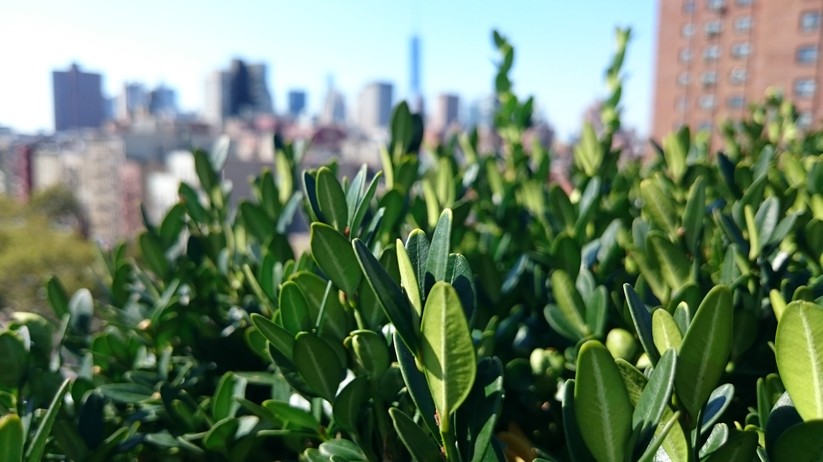 Testfoto aufgezeichnet mit dem Sony Xperia Z3