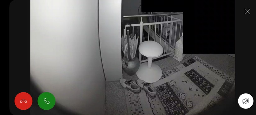 Ring Battery Video Doorbell Plus: Nachtsicht