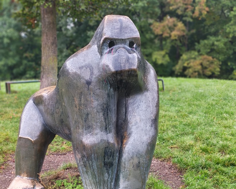 Honor 400 - Originalaufnahmen