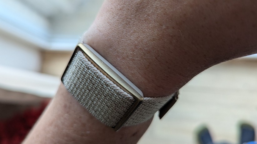Polar Loop