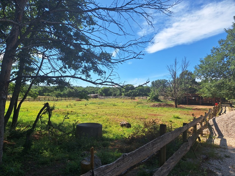 Samsung Galaxy A54 - Originalaufnahmen 