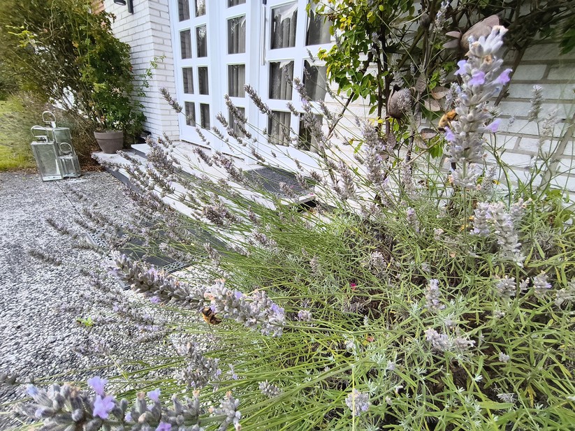 CMF Phone 2 Pro - Originalaufnahmen 