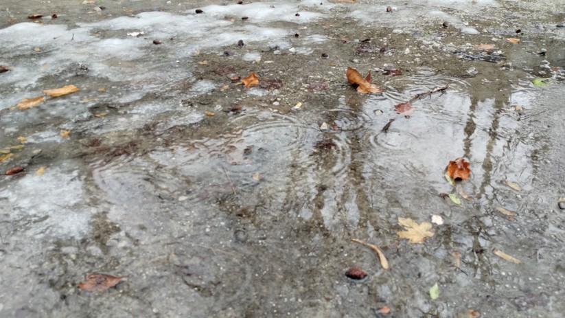 Motorola Moto G82 5G - Originalaufnahmen 