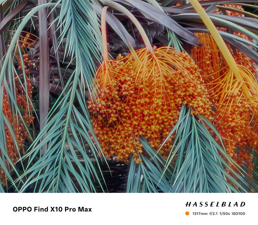 Oppo Find X10 Pro Max