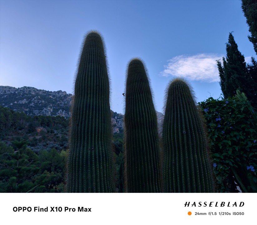 Oppo Find X10 Pro Max
