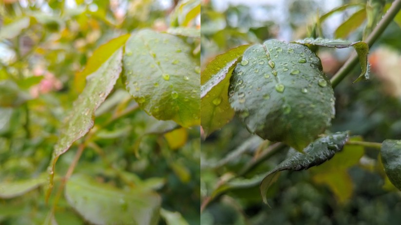 Nokia G22 (links) vs. Pixel 6 Pro (rechts)