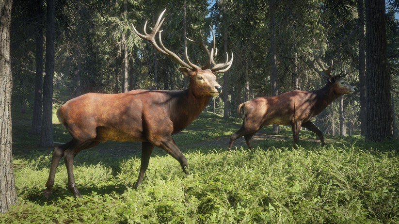 theHunter