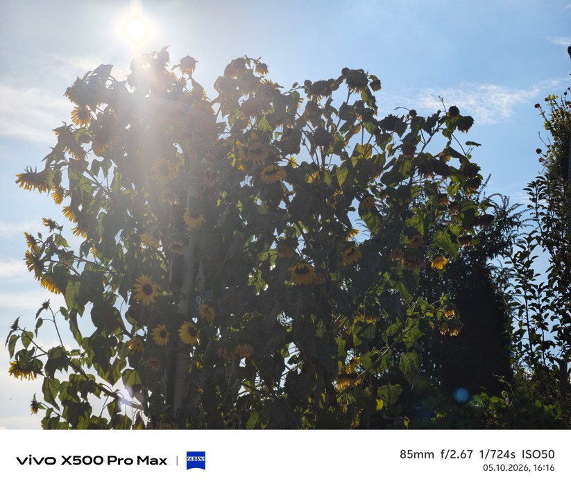Vivo X500 Pro Max Fotos