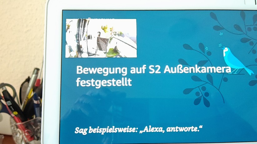 Baseus Security S2: Die Ausgabe des Livestreams auf ein smartes Display wie Echo Show hat im Test problemlos funktioniert. Bei Bedarf informiert Alexa auch über erkannte Bewegungen.