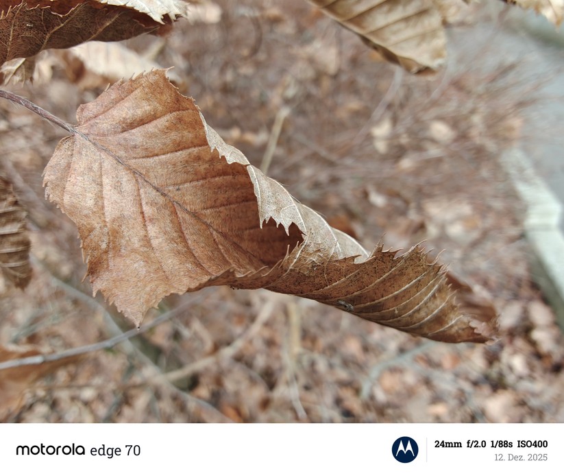 Motorola Edge 70 - Originalaufnahmen