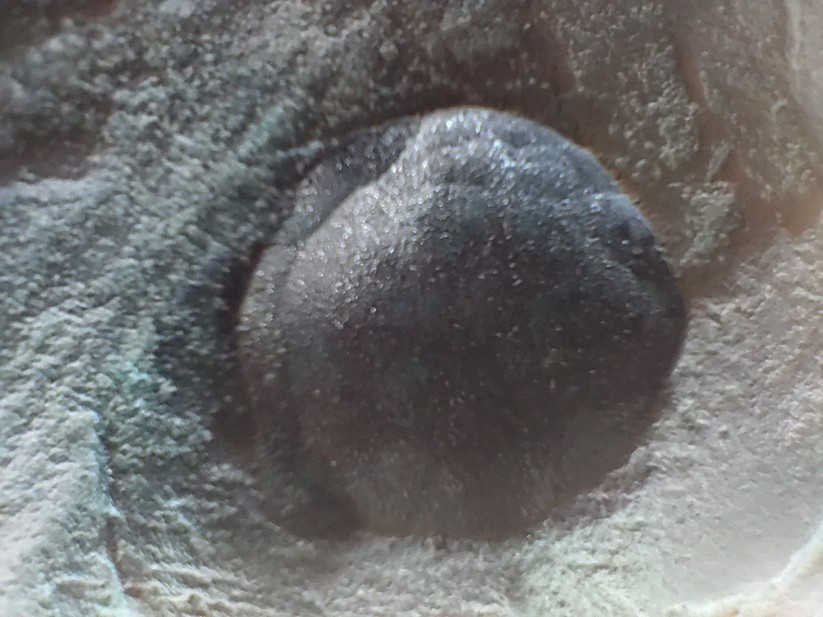 AGM G2 Guardian - Originalaufnahmen