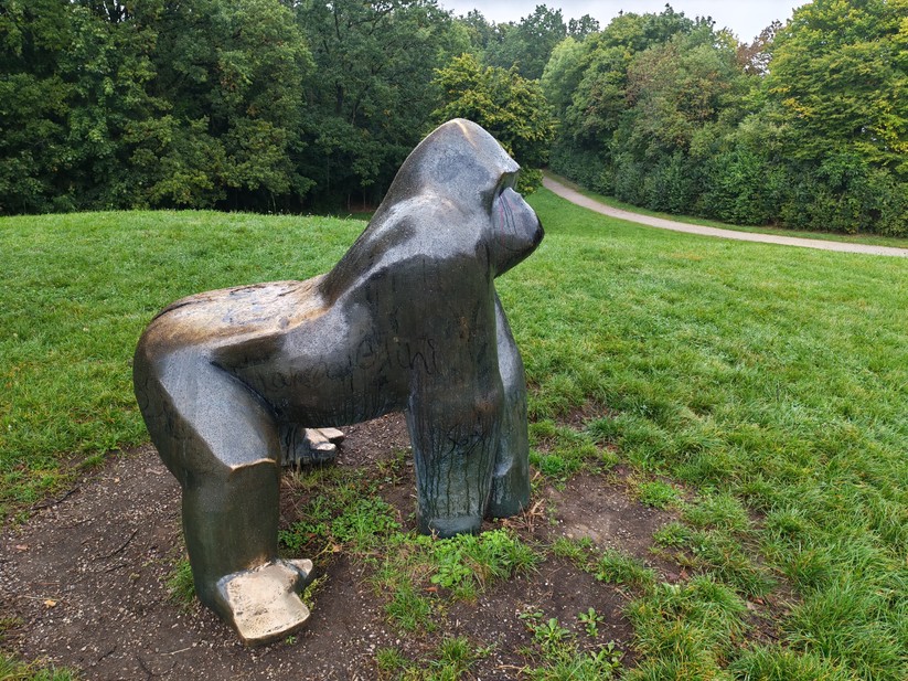 Honor 400 - Originalaufnahmen